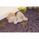 rockinnature Plum Pizarra decorativa de jardín 20 kg Piedra