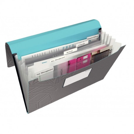 Leitz Urban Chic 39970089 - Carpeta acordeón, A4, 5 pestañas, Gris