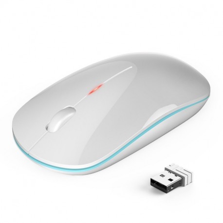 TeckNet Ratón Inalámbrico Delgado, 2.4G Mouse Inalámbrico Mini con Forma Ergonómica para PC, Ordenador Portátil, 18 Meses de 