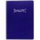 Gallery PA20CPPA5Q512090G051 - Cuaderno microperforado, 120 hojas, A5