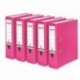 Falken Carpeta de polipropileno de colores, 3 y 5 unidades, color rosa 5 unidades ancho