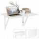 HOMFA 80x60CM Mesa Plegable de Pared Mesa Portátil Mesa para estudio Mesa de comedor Mesa de escritorio Mesa de oficina Blanc