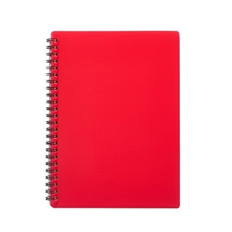 Pardo 874002 - Carpeta 40 fundas con diseño studio style, color rojo