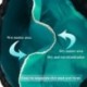 ProCase Bolso de Gimnasia Resistente al Agua, Quality Drawstring Mochila Unisex Sports Bag para la Natación, el Surf, la Prim