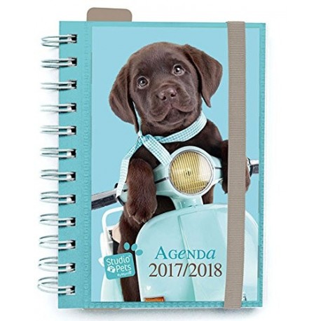 Grupo Erik Editores AGVDP1702 - Agenda escolar 17/18 Dia Pagina Studio Pets Dog
