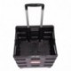 DXP Carretilla de las compras del cajón plegable hasta 35 kg contenedor con ruedas negro con tapa 