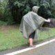 Anyoo Poncho de Lluvia Reusable de Ripstop transpirante Ligero a Prueba de Agua Multiuso Impermeable con Capucha de Lona de T