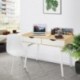 LANGRIA Escritorio Grande Moderno con 2 Cajones y 2 Compartimentos Estructura Resistente con 4 Patas Metálicas Mesa de Ordena