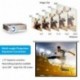 HD Video Projector Bluetooth WiFi 1080P 4200 Lumen Wxga Wireless Home Cinema LED LCD Projector Outdoor Movie Gaming HDMI USB 