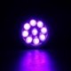 Linterna Ultravioleta, Winzwon Linterna UV Flashlight 9 LED UV Lampara Ultravioleta Detectar manchas de orina de mascotas, Lu