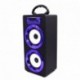 DYNASONIC Altavoz Bluetooth Portatil 10W, Reproductor mp3 inalámbrico portátil, Lector USB SD, Radio FM - Modelo 022-2