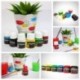 MONT MARTE Pintura para Porcelana y Cerámica - 6 piezas x 20ml - Colores cerámicos resistentes al agua - Pinturas de alta cal