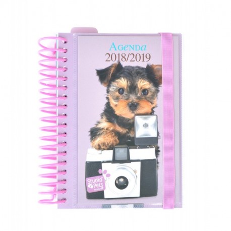 Grupo Erik Editores Studio Pets - Agenda escolar con espiral en español con diseño perro, 11.4 x 16 cm