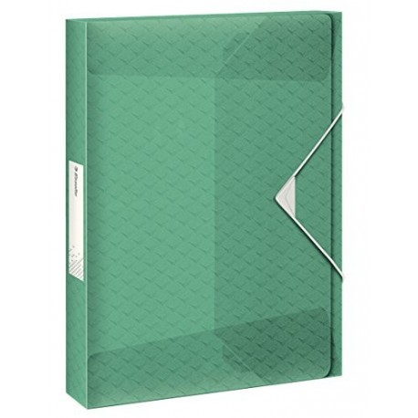 Esselte Carpeta Proyectos, A4, 350 Folios, Elástico, Verde, ColourIce, 626265