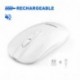 LeadsaiL Raton Inalámbrico Recargable Portatil, Ratones Ordenador Portatil Silencioso,2.4G Wireless Mouse Ergonómico con Rece