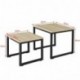 SoBuy Set de 2 Mesas Auxiliares Mesa Nido de Salón,FBT42-N, ES
