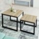 SoBuy Set de 2 Mesas Auxiliares Mesa Nido de Salón,FBT42-N, ES