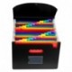 OffiConsent Ampliable Carpetas Plastico- A4 Carpeta Clasificadoras de Espacio Grande con 24 Bolsillos File Organizer con Tapa