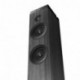 Energy Sistem Tower 7 - Torre de Sonido con la tecnología True Wireless, 100 W, Ambient Light, Display, USB/microSD, Bluetoo