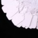 Vosarea Etiquetas de marca blanca Etiquetas de precio Etiquetas de precio Etiquetas de exhibición con cadena colgante, paquet